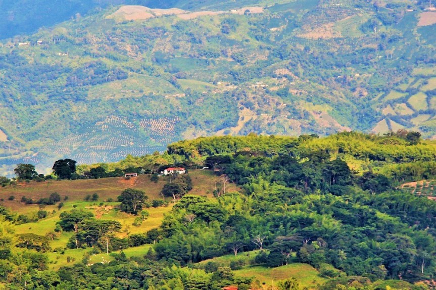 altomira-fincagandera-manizales