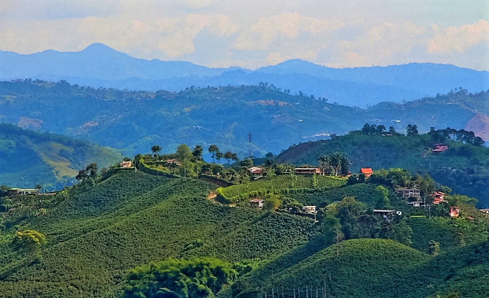 paisaje-cultural-cafetero-altomira