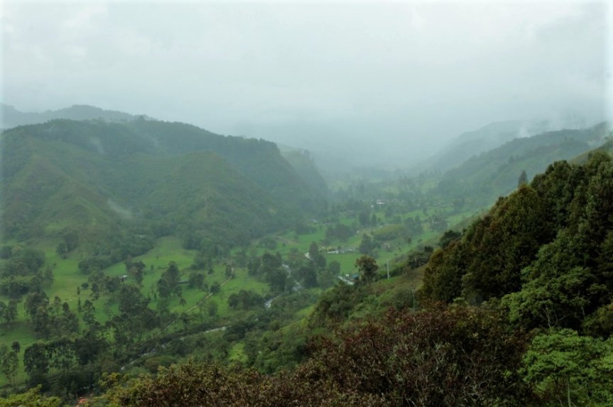 salento-valle-del-cocora-quindio-1