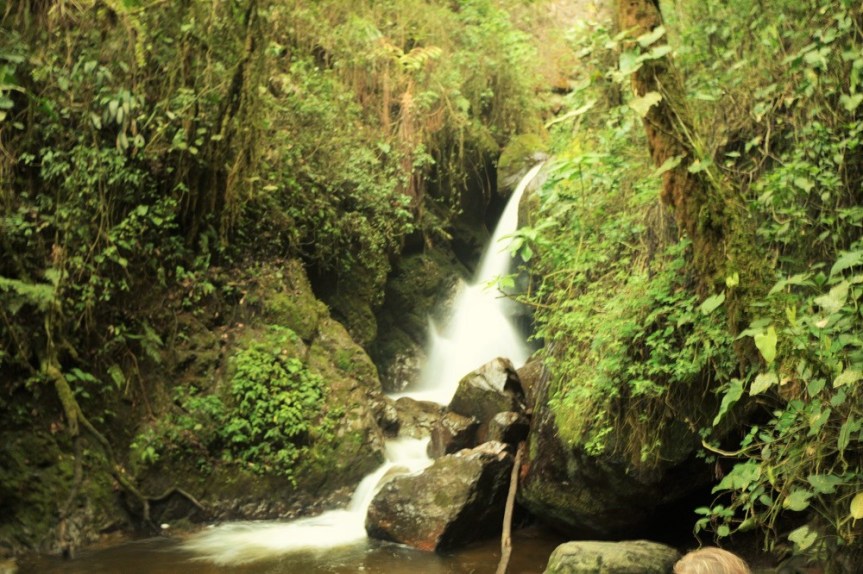valle-del-cocora-quindio-10