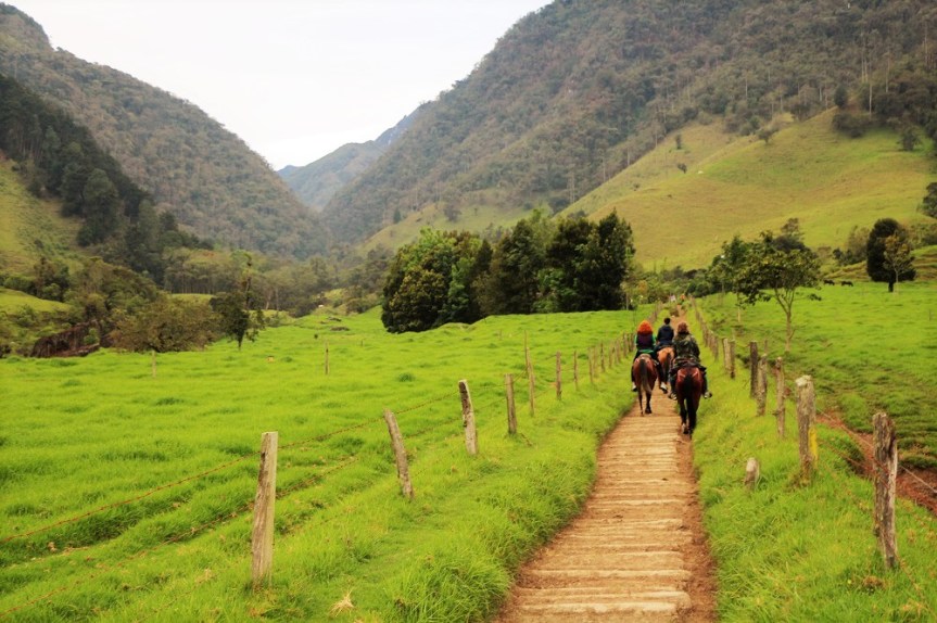 valle-del-cocora-quindio-9