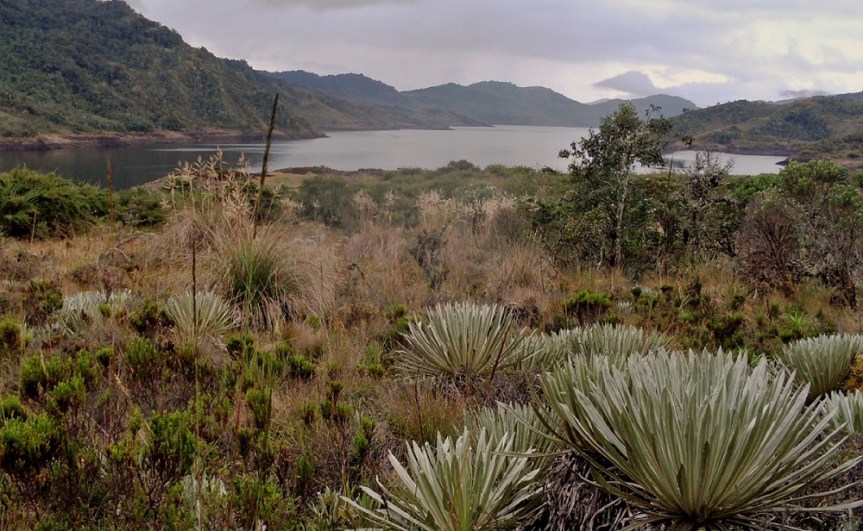 chingaza-parquesnaturales-ecoturismo