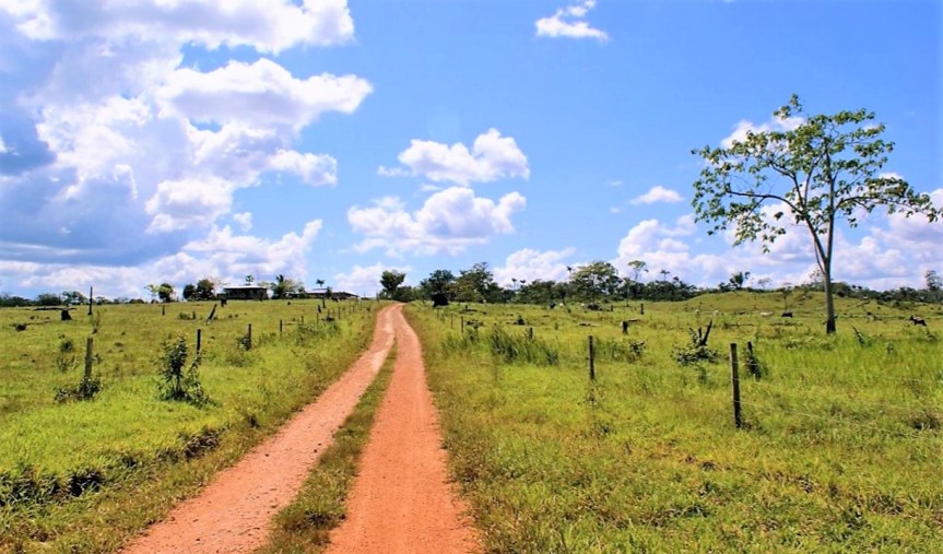 Departamento del Caqueta