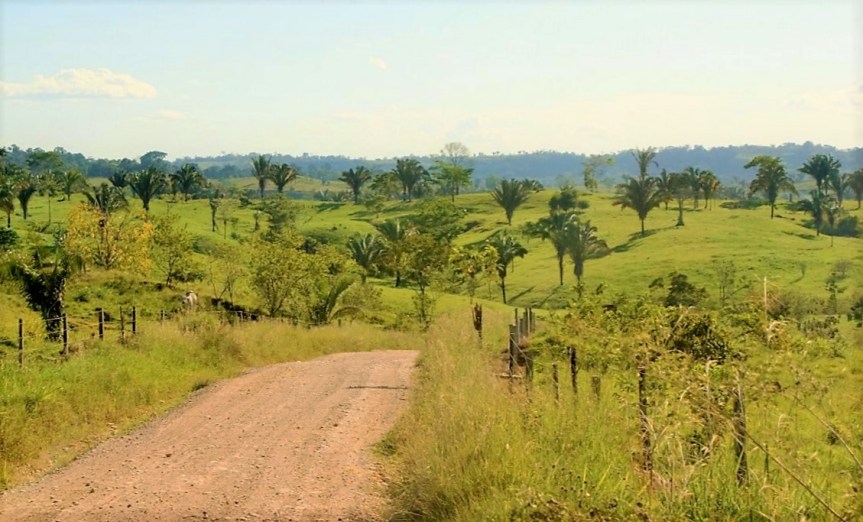 Los LLanos del Yarí