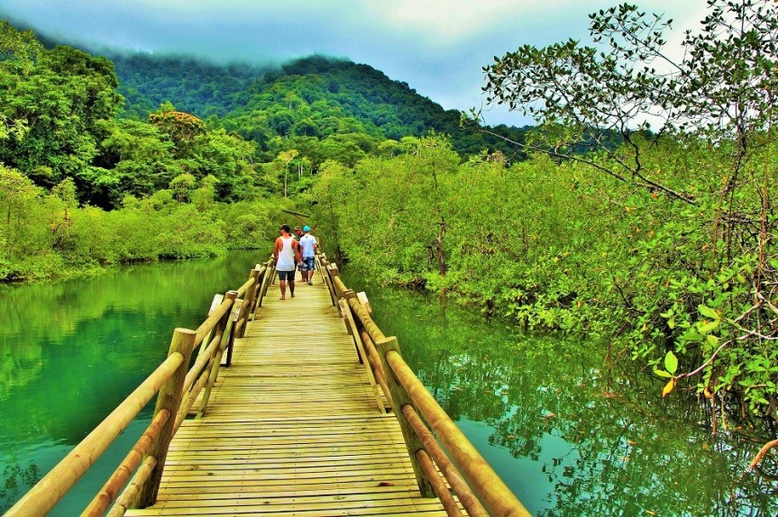 utria-bahiasolano-pacifico-10