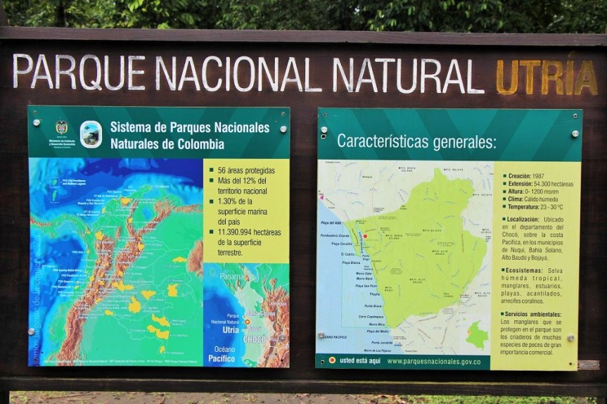 utria-bahiasolano-pacifico-2