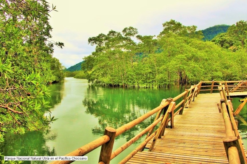 Parque Nacional Natural&nbsp;Utría