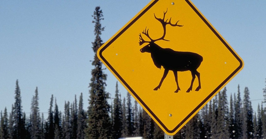 Glennallen en Alaska