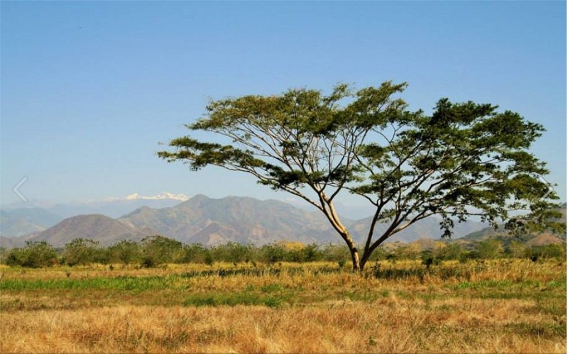 ciudadperdida-sierranevadadesantamarta-magdalena-ecoturismo-colombia-7
