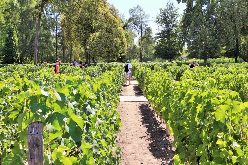 86-chile-concha-y-toro