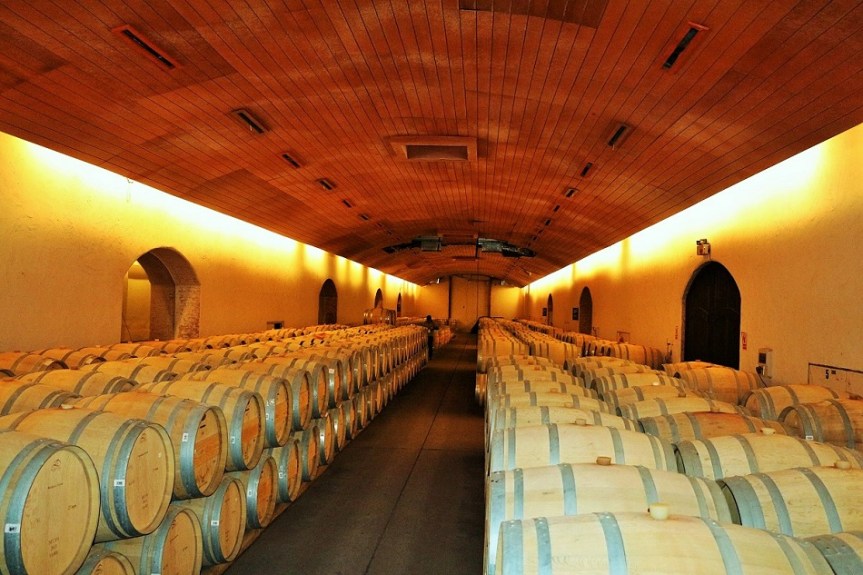 88-chile-concha-y-toro