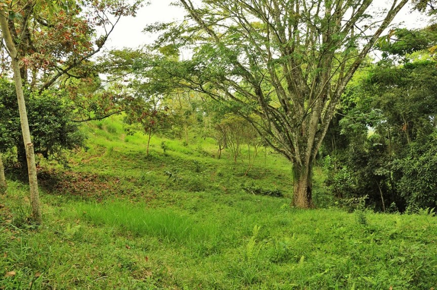 altomira-enero2017-verano-7