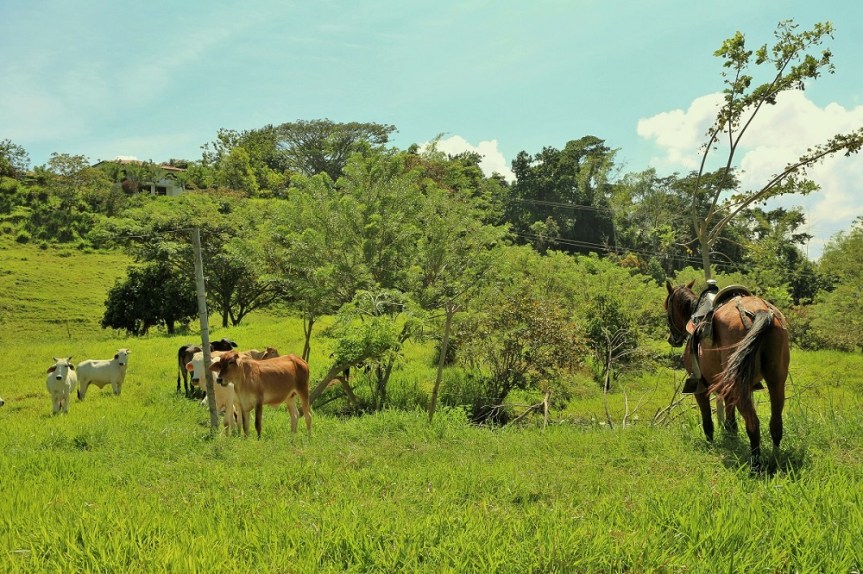 altomira-enero2017-verano2