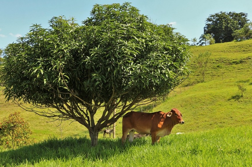altomira-enero2017-verano3