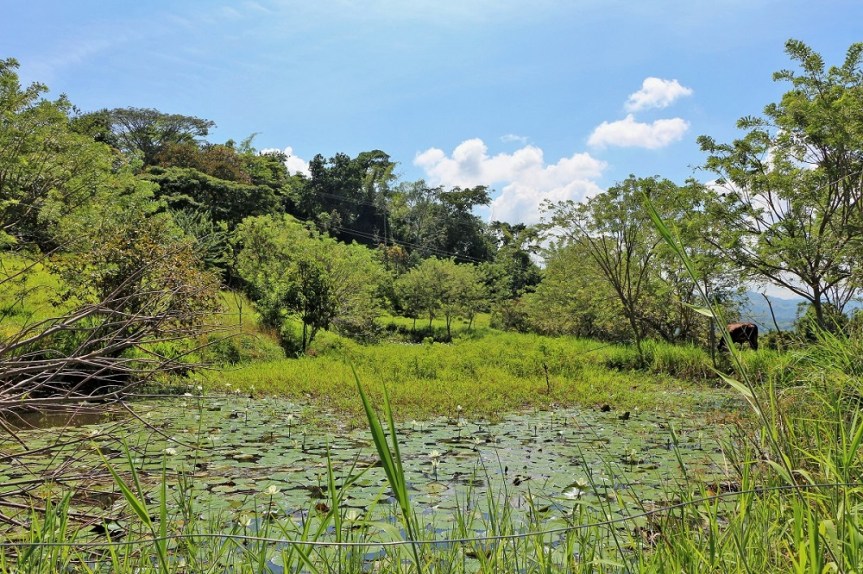 altomira-enero2017-verano4