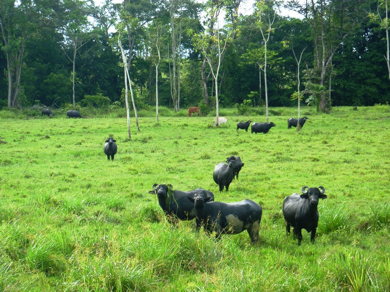 estoraques-parques-nacionales-de-colombia-santander-11