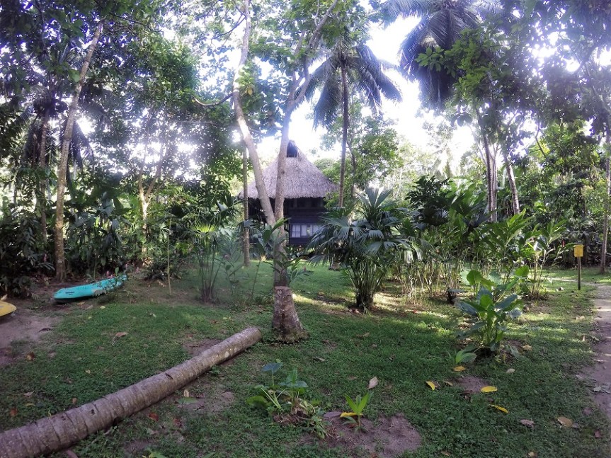 DCIM100GOPROGOPR0492.