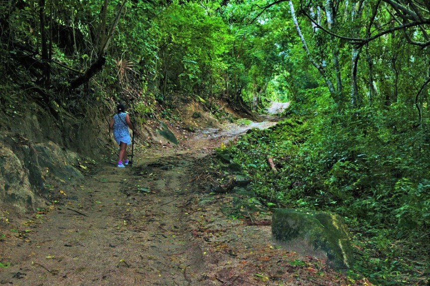 1-tayrona-playas-de-arrecifes-parques-naturales-senderos