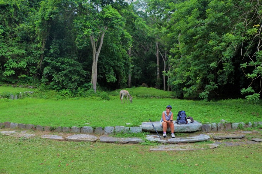 13-tayrona-playas-de-arrecifes-parques-naturales-senderos