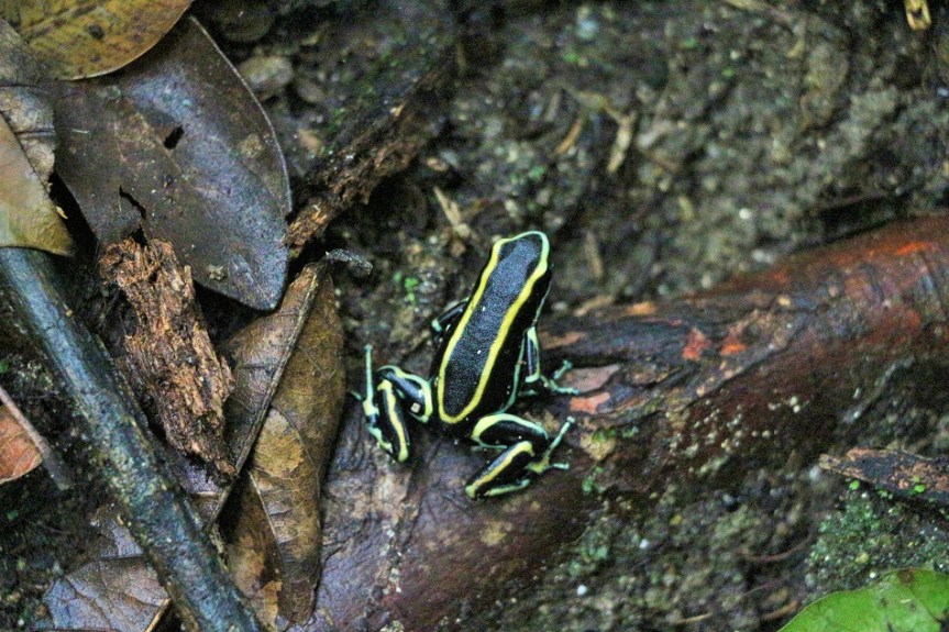 5-tayrona-playas-de-arrecifes-parques-naturales-senderos