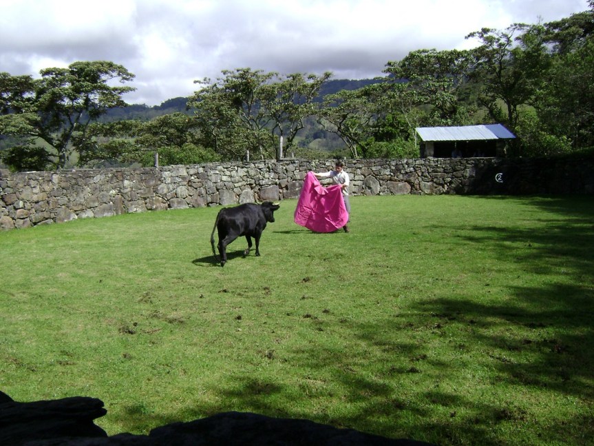 9-pacho-cundinamarca-toros-de-lidia