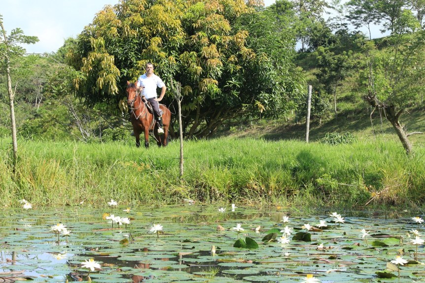 paseos-a-caballo-altomira-fincas-manizales