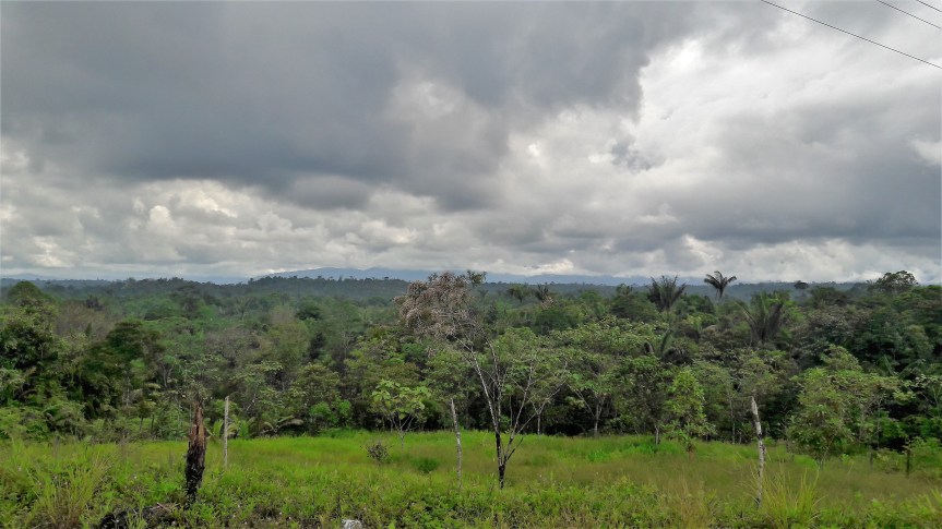 buenaventura-valle-desde-calima-4