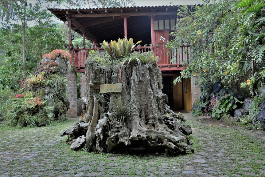 nirvana-reserva-natural-privada-valle-cali-1