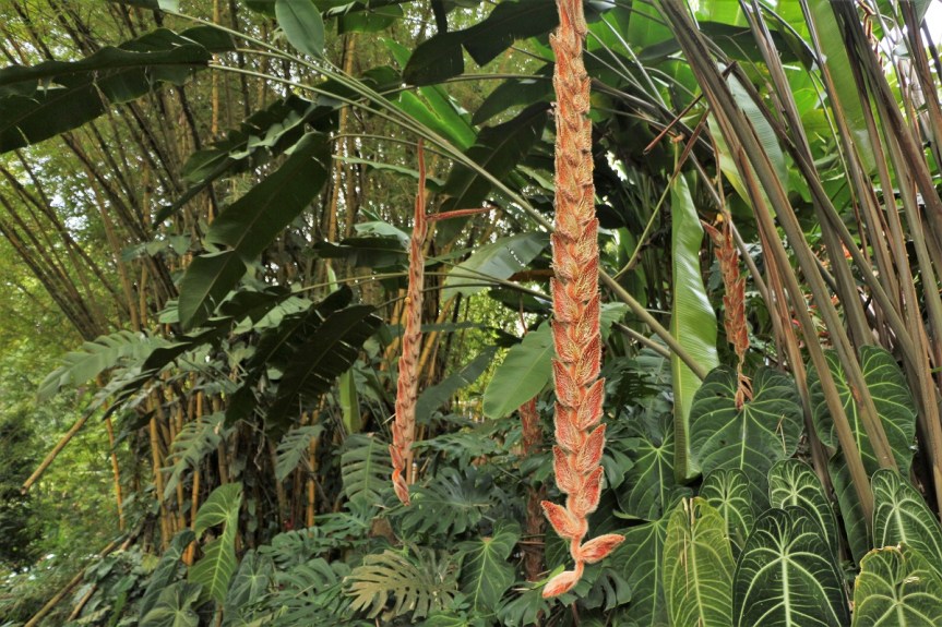 nirvana-reserva-natural-privada-valle-cali-7