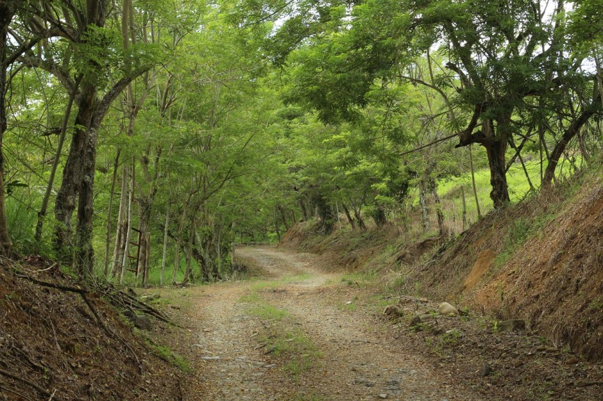 altomira-finca-en-santagueda