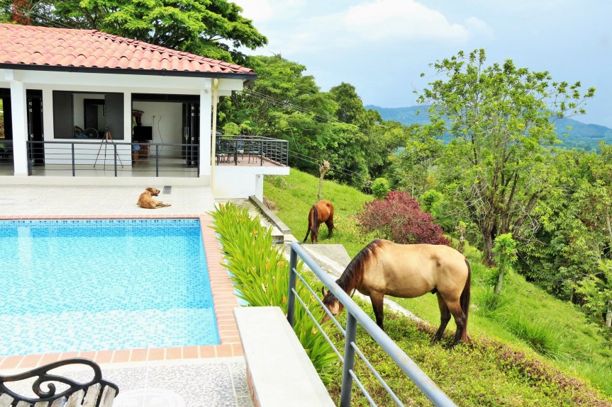 Los caballos de&nbsp;altomira