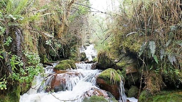 Parque Ecológico Matarredonda