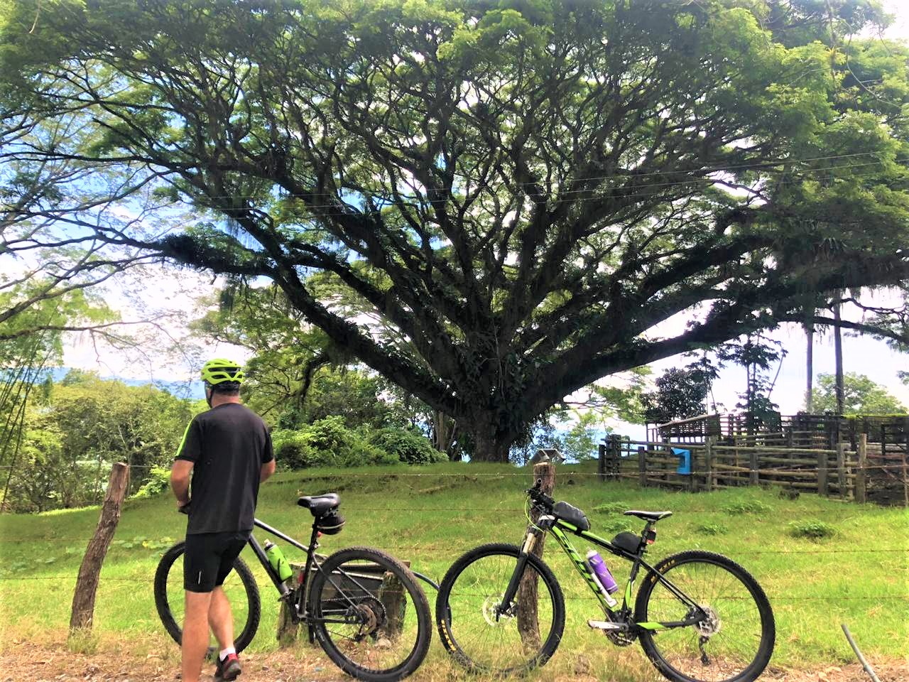 santiago-finca-altomira-paseos-en-bicicleta-manizales