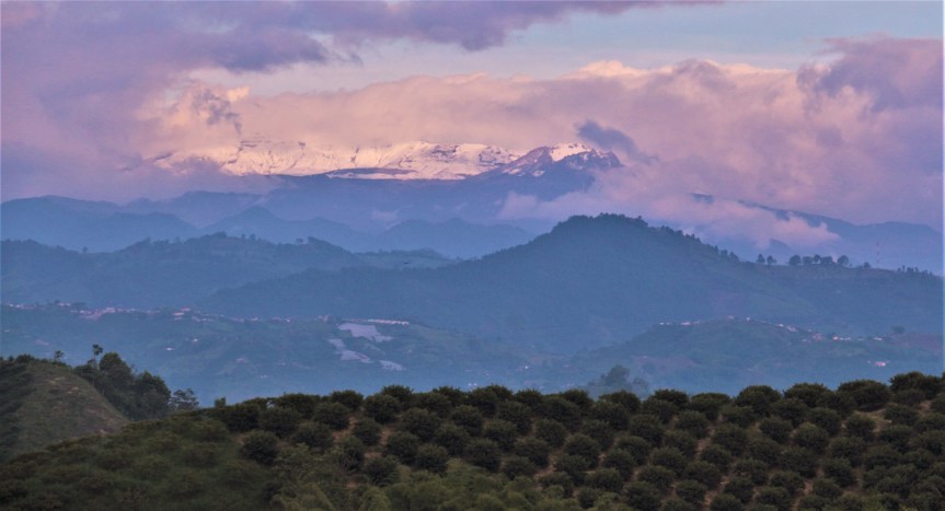 Departamento de Caldas