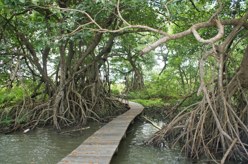 El Pacifico Colombiano