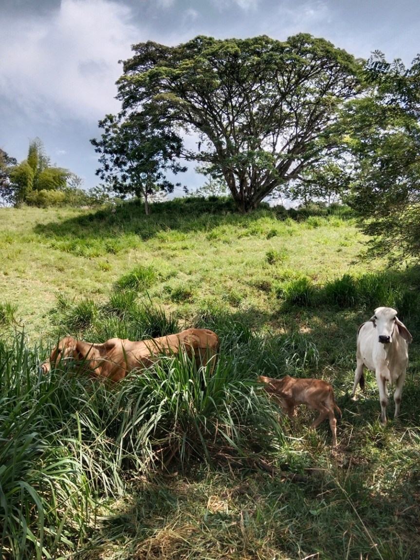 Un día de campo en&nbsp;Altomira