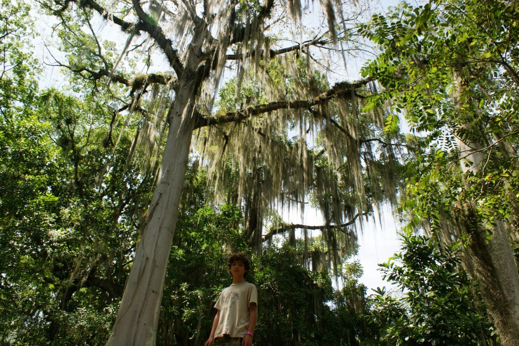 Parque el Gallineral