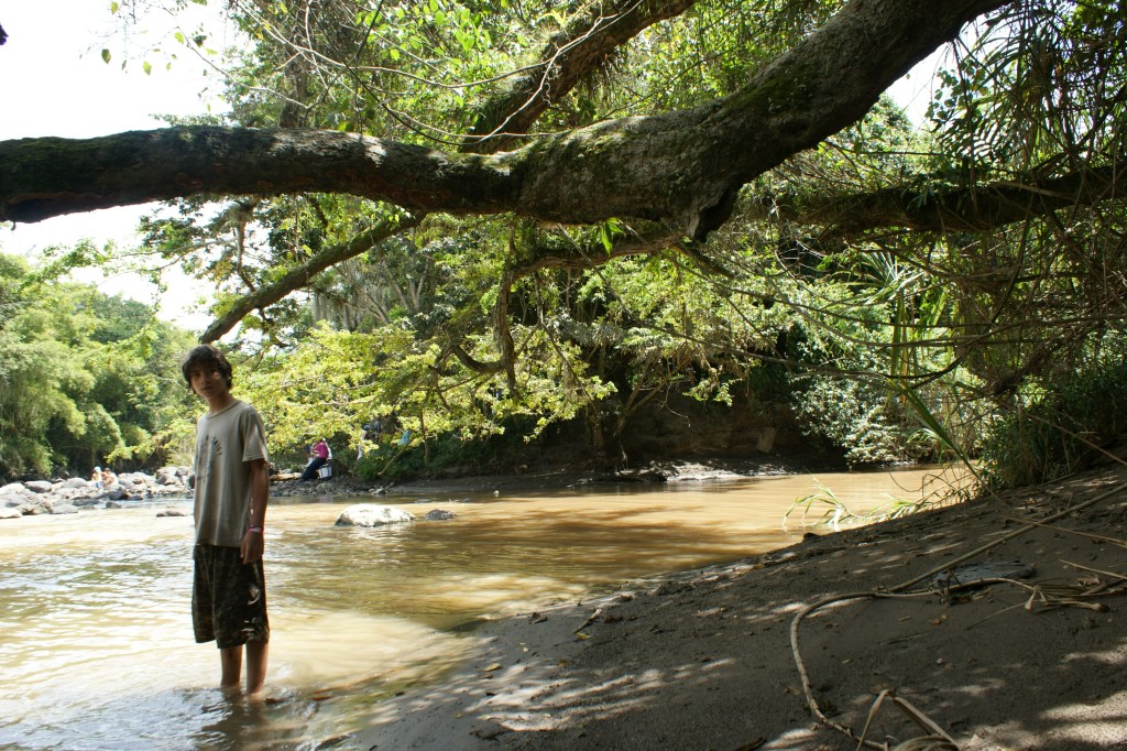 Parque el Gallineral